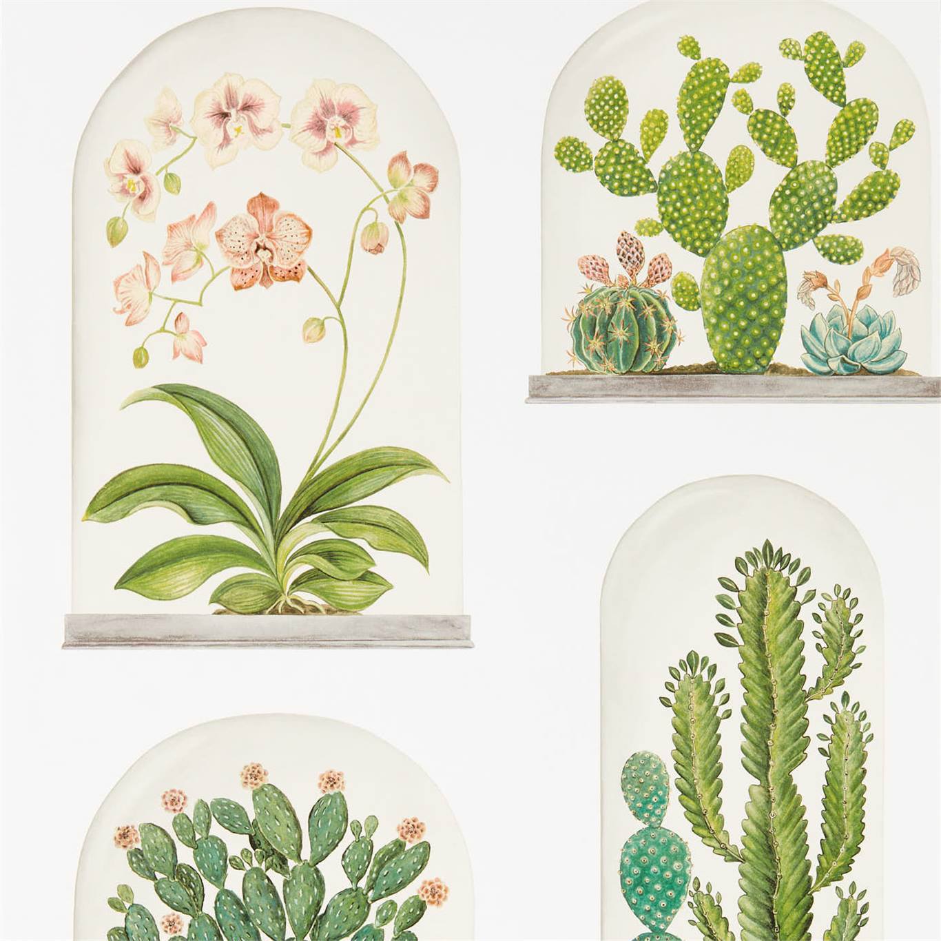 Terrariums Chalk/Green