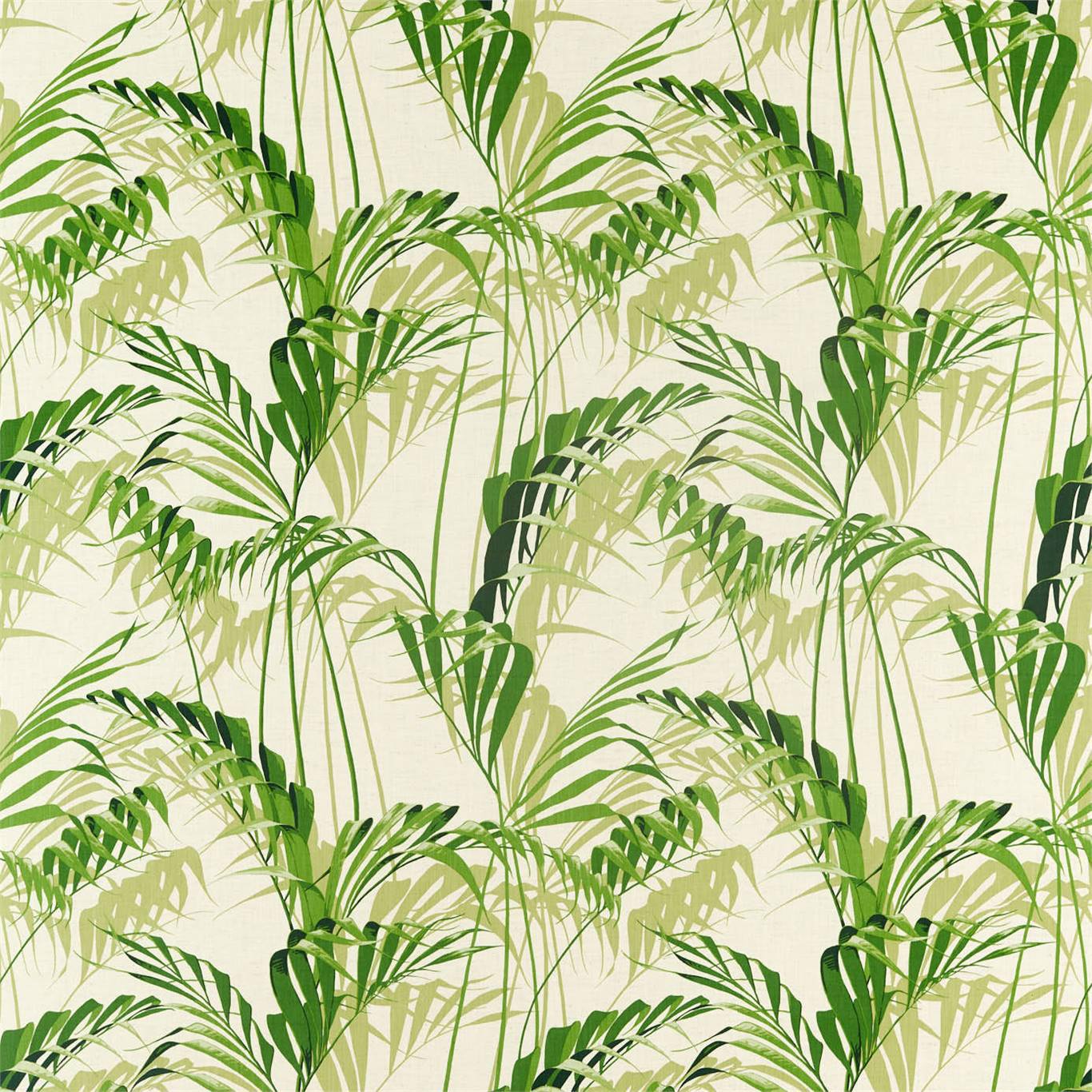 Palm House Botanical Green